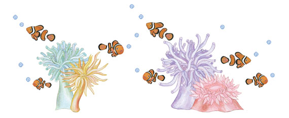 Sea Anemone Wall Decals